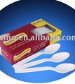 Retail Boxed Cutlery  1