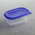 Plastic Box  1