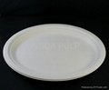 Large oval plate