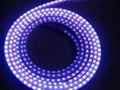 led rope light/Stage light 3