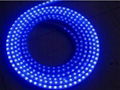 led rope light/Stage light 4