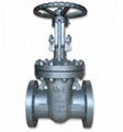 Valve (Ball/Butterfly/Check/Globe/Gate/Plug/Safe) 1