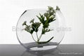 glass vase 4