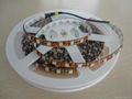 DC12V flexible led strip light 2