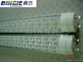 LED T10 tube lighting 2