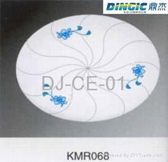 SMD5050 10W Ceilling ligthing