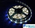 smd5050 LED Strip 1