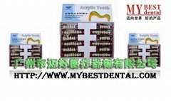 Dental Medical Acrylic Teeth/ Dental Materials (MD-4901)