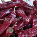 yidu chilli  1