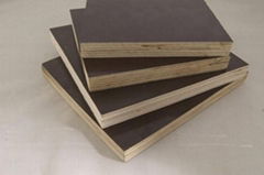 plywood 