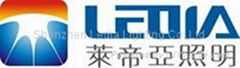 Shenzhen Ledia Lighting Co.,Ltd