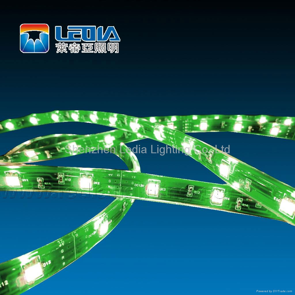 3528SMD flexible strip 4