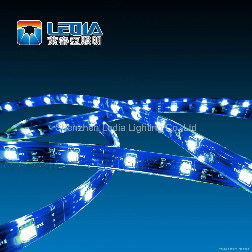 3528SMD flexible strip 5