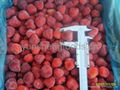 iqf strawberry 1