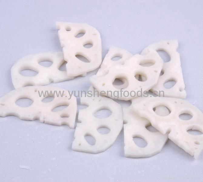 iqf lotus root 3