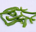 iqf green pepper