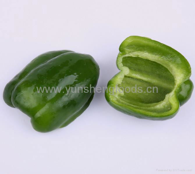 iqf green pepper 3