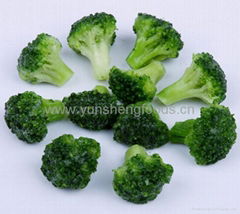 iqf broccoli