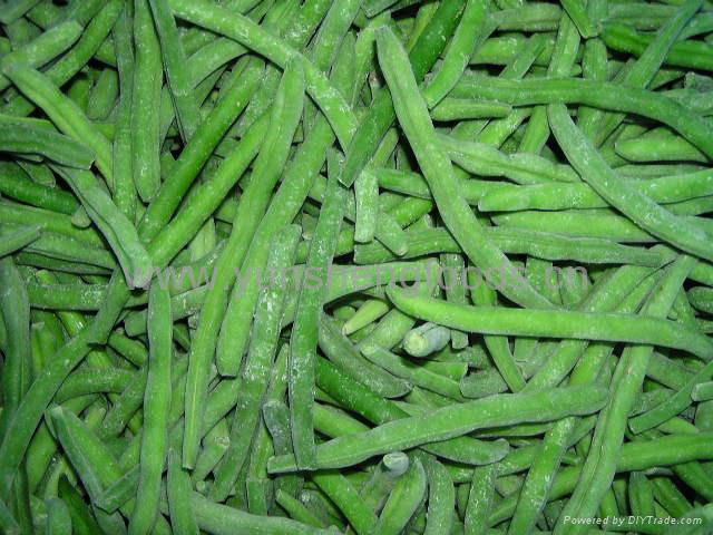 iqf green bean 2