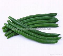 iqf green bean