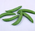 iqf sugar snap pea 1