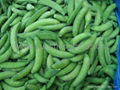 iqf sugar snap pea 2