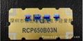 RCP890Q05  1