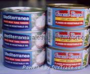 CANNED TUNA 