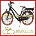 Electric bike TDF53Z 250W / E-bike,