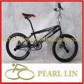 Freestyle Bicycle  PC-097