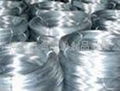 galvanized wire 1