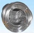 galvanized wire 2