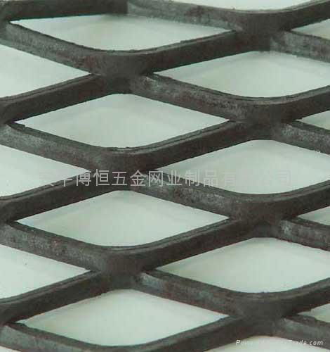 expaned wire mesh 2