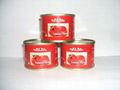 canned tomato paste 