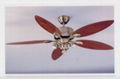 ceiling fan 1