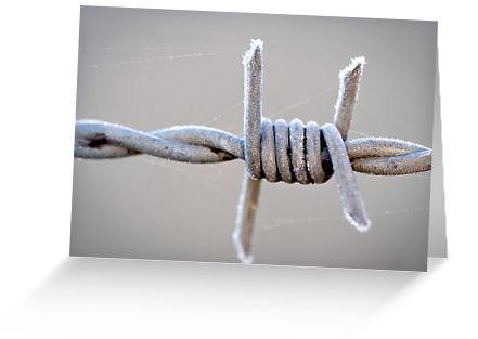 barbed wire