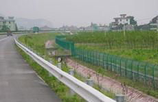 Highway fence 2