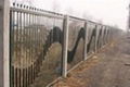 Railway fence 3