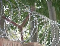 Bazor barbed wire