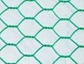 Hexagonal wire mesh 1