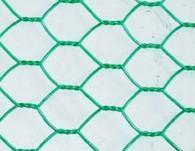 Hexagonal wire mesh