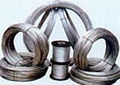 galvanized wire  1