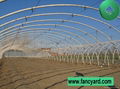 Tomato Greenhouse,Poultry Feeding