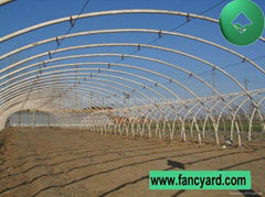 Tomato Greenhouse,Poultry Feeding Greenhouse,Warm House