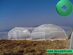 agriculture greenhouse