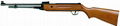 air rifle 1