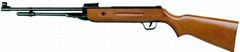 air rifle