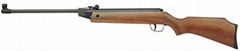 air rifle