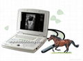 Digital Laptop Veterinary Ultrasound Scanner 1