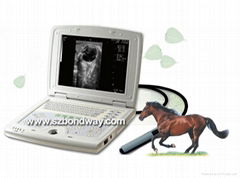 Digital Laptop Veterinary Ultrasound Scanner